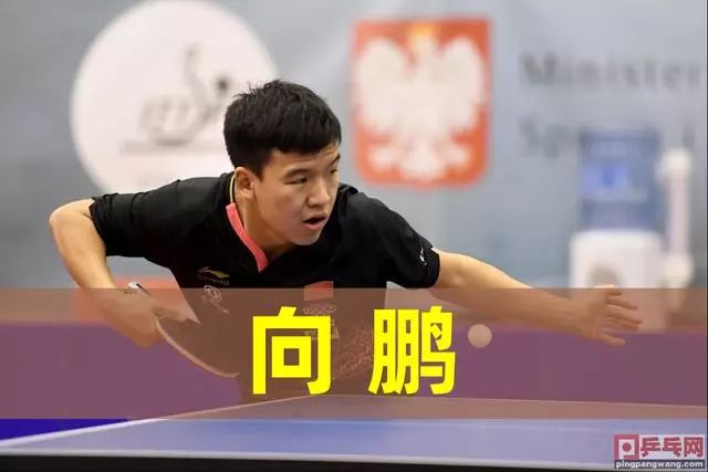 能与大多数